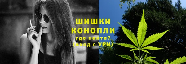 крисы Абаза
