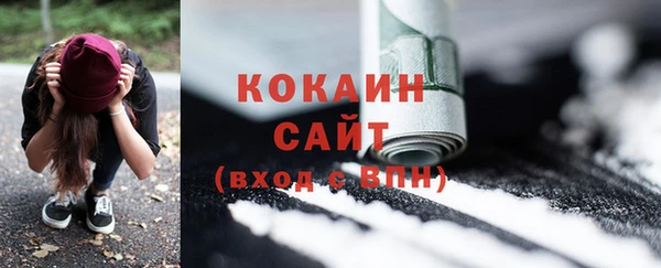 крисы Абаза