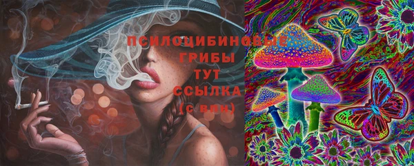 крисы Алексин