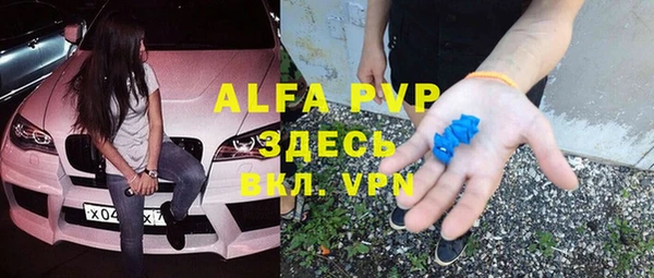 крисы Абаза