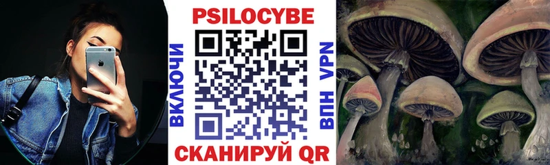 Псилоцибиновые грибы ЛСД  mega сайт  Тайга 